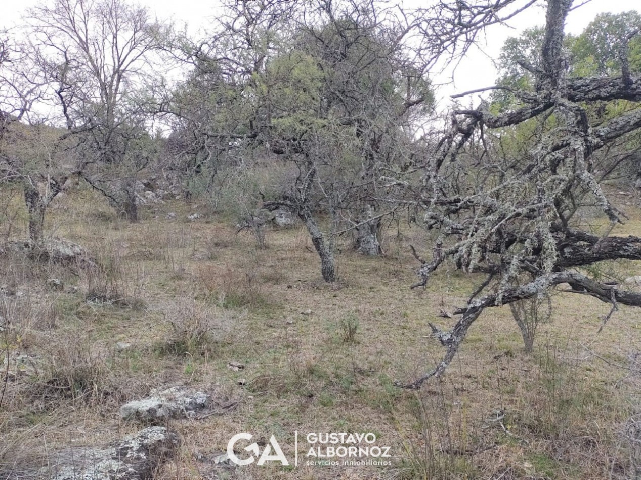 Hectareas en venta, en Amboy - Calamuchita
