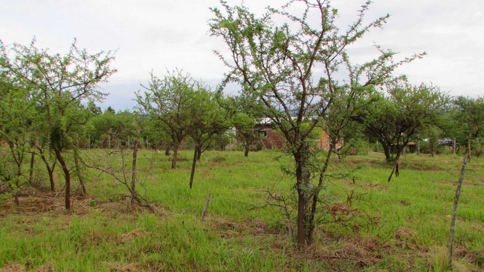 Lote en Venta en Villa Amancay - Calamuchita -- MZ 89 LT 8