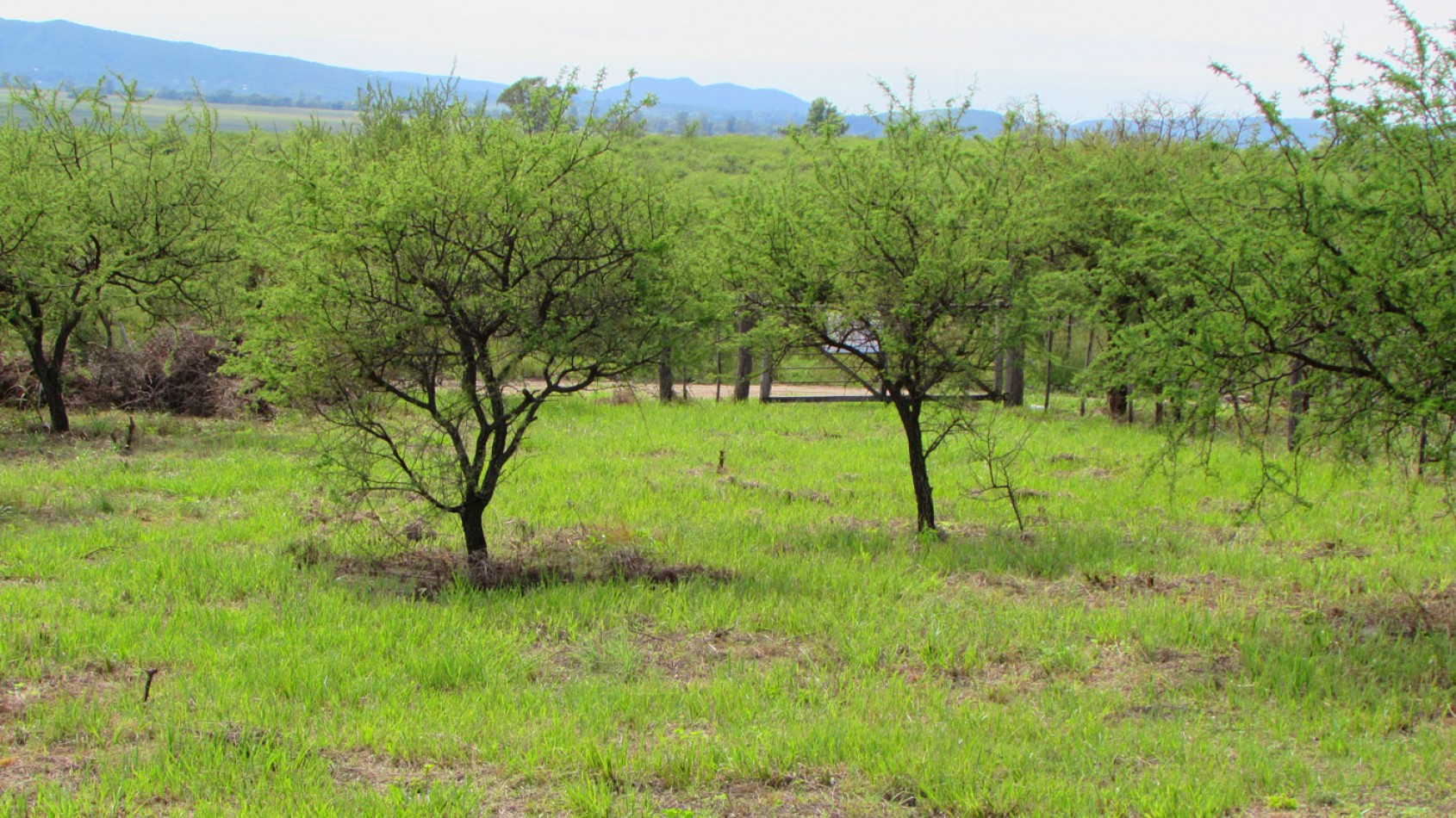 Lote en Venta en Villa Amancay - Calamuchita -- MZ 89 LT 8