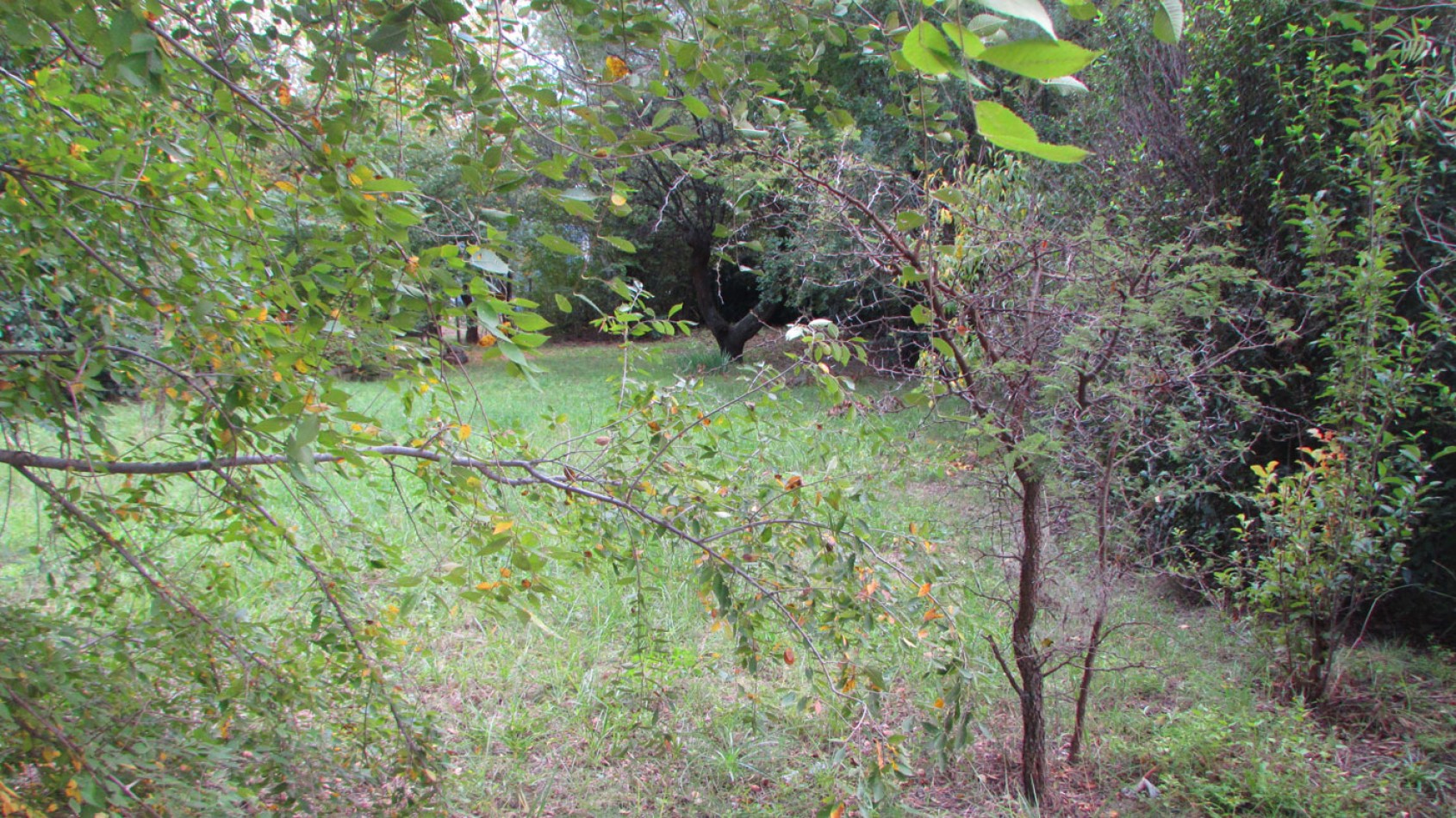 Lote en venta en Villa Amancay, Calamuchita, Cordoba