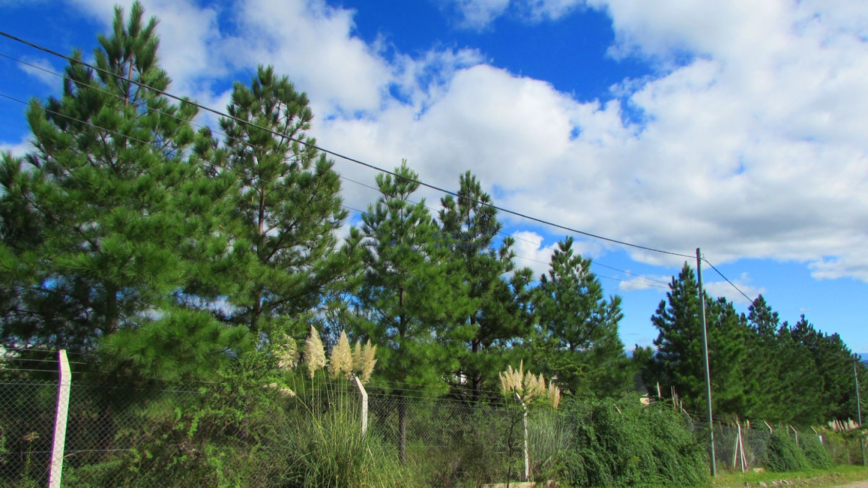 Lotes en venta en Villa Amancay - Calamuchita - Cordoba MZ. 91 L 2 y 3