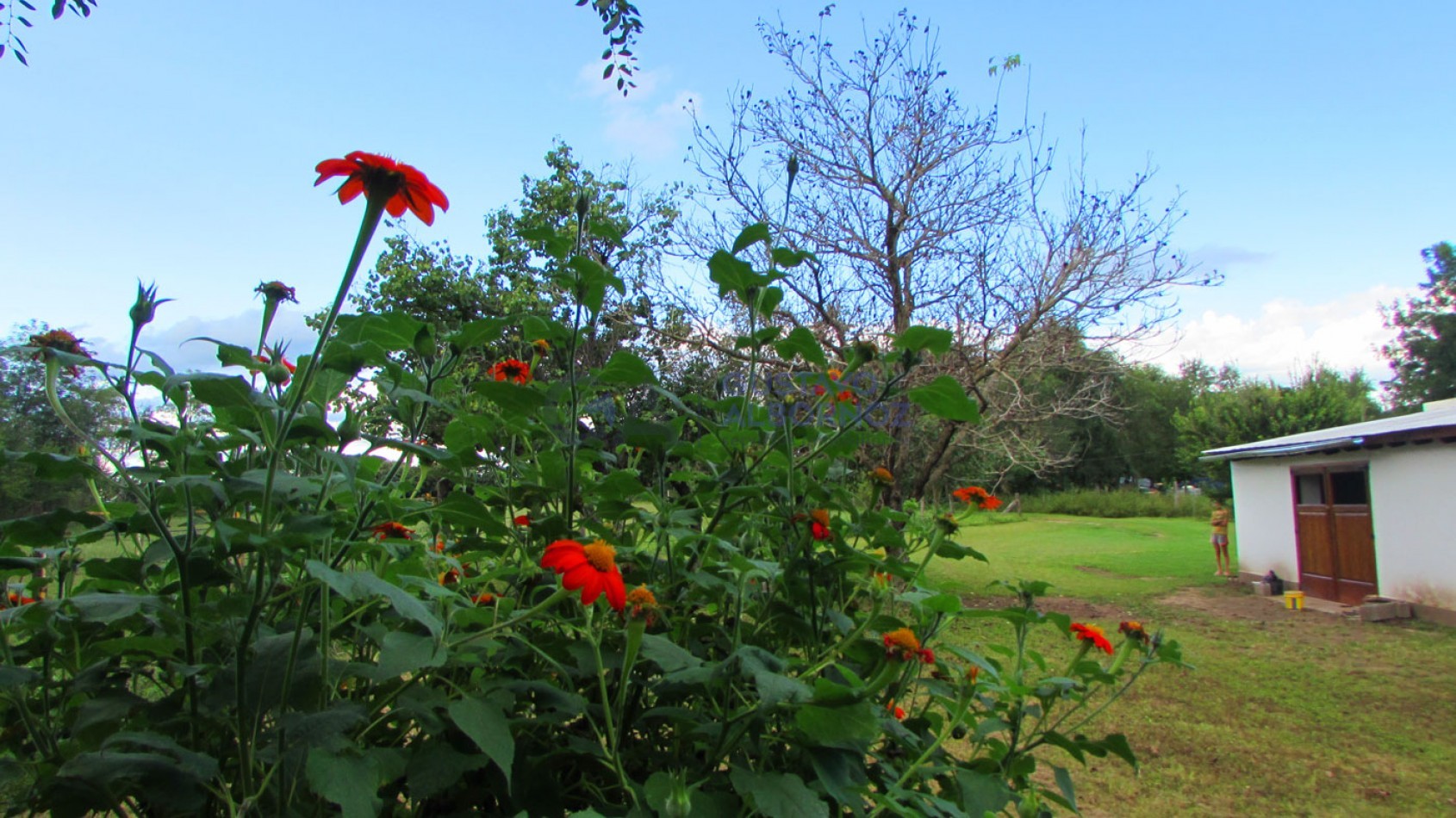 Casa de campo en venta - Amboy - Calamuchita