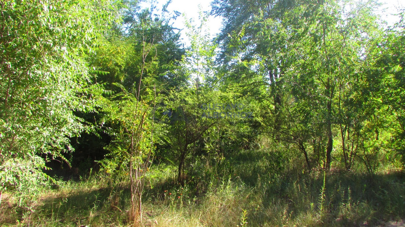 Lote en venta en Villa Amancay - Calamuchita