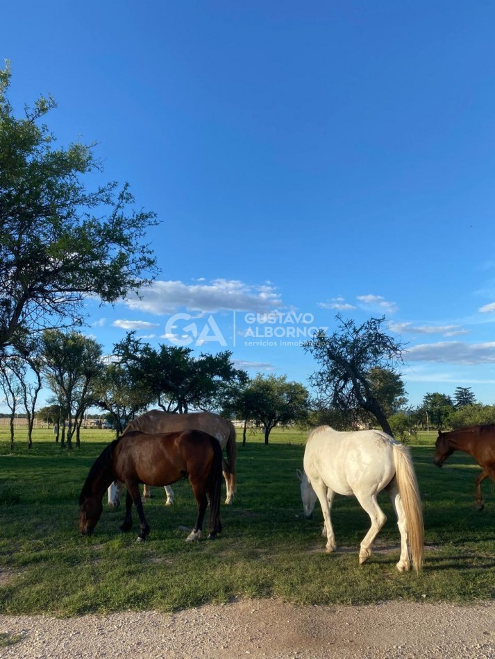 Lotes en venta en San Ignacio MZ 33 LT 6,7 y 8