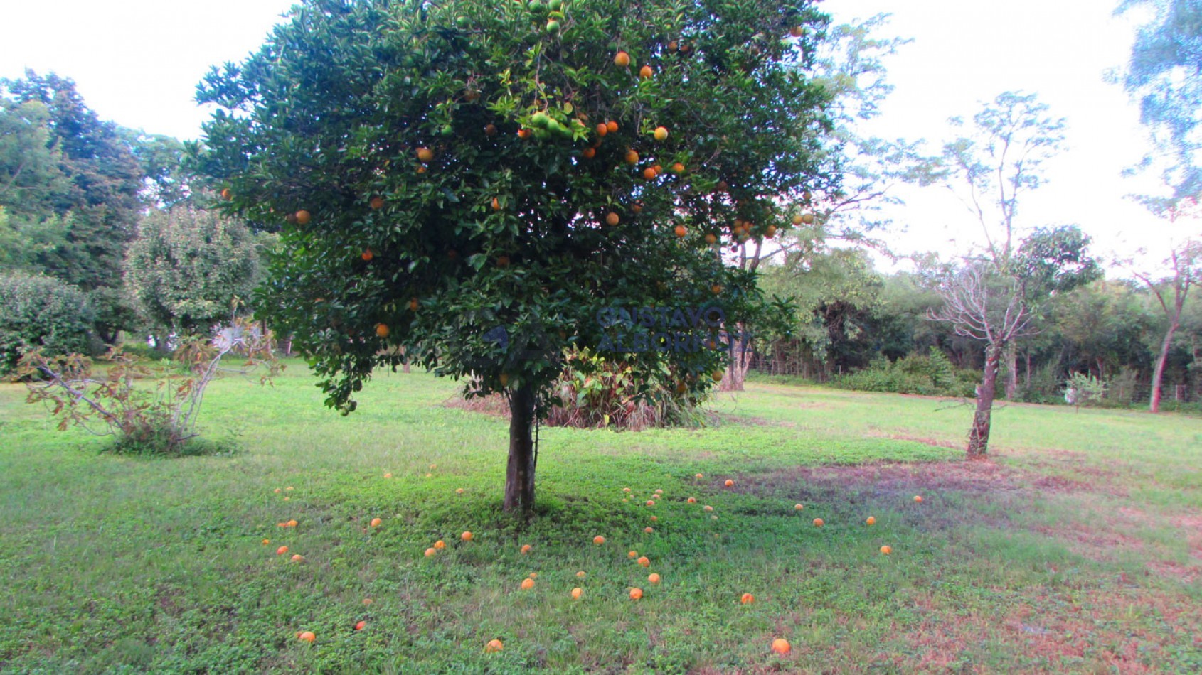 Casa de campo en venta - Amboy - Calamuchita
