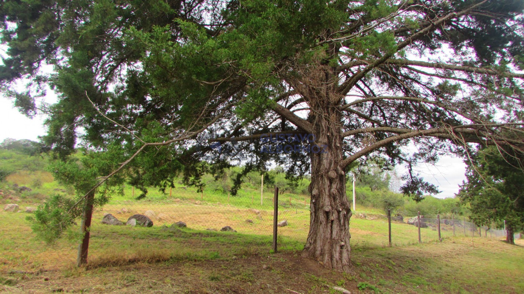 Lotes a la venta en Villa Amancay