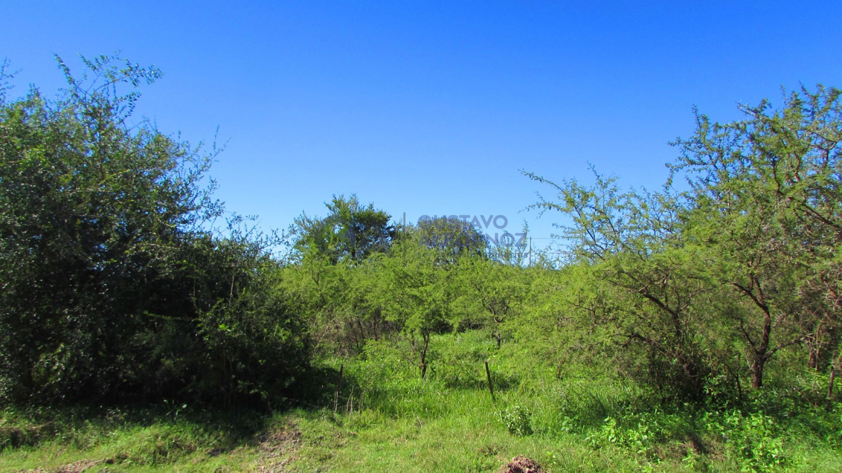 Lotes en Venta - Villa Amancay - Calamcuhita - Cordoba