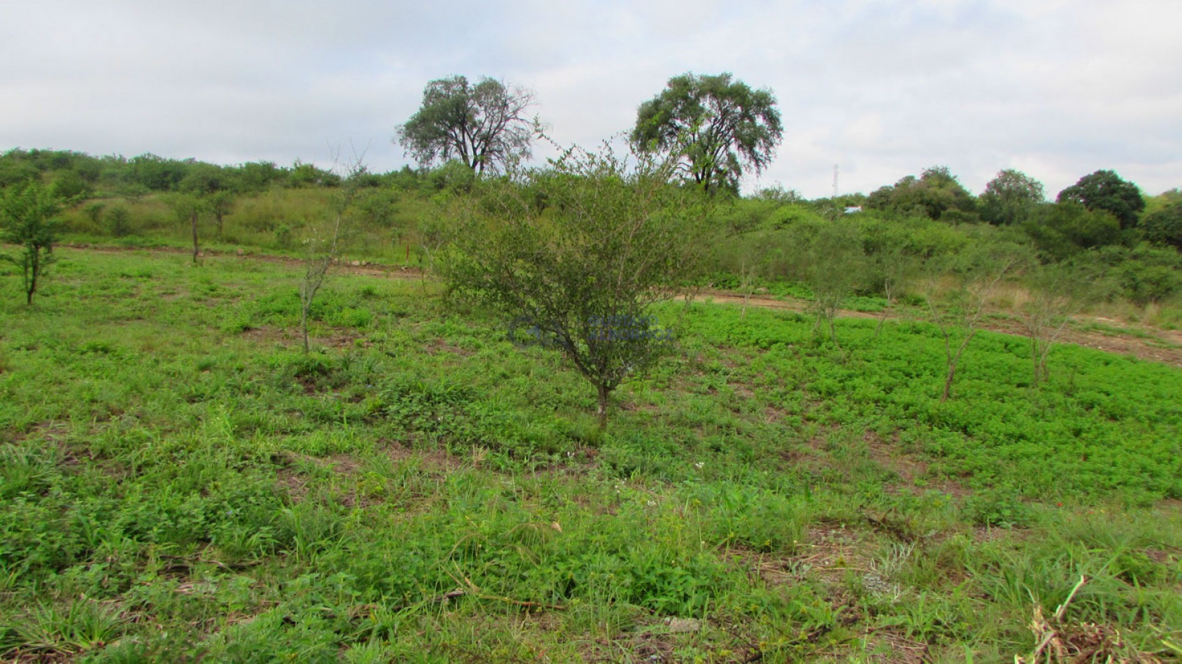 Lotes en Venta - Amboy - Calamuchita - Cordoba
