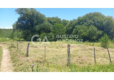 Lote en Venta en Villa Yacanto MZ B LT 10