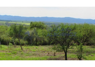 Lote en venta en Villa Amancay - Calamuchita - Cordoba - MZ 84 LT 9